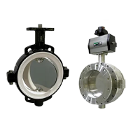 Butterfly Valves.png